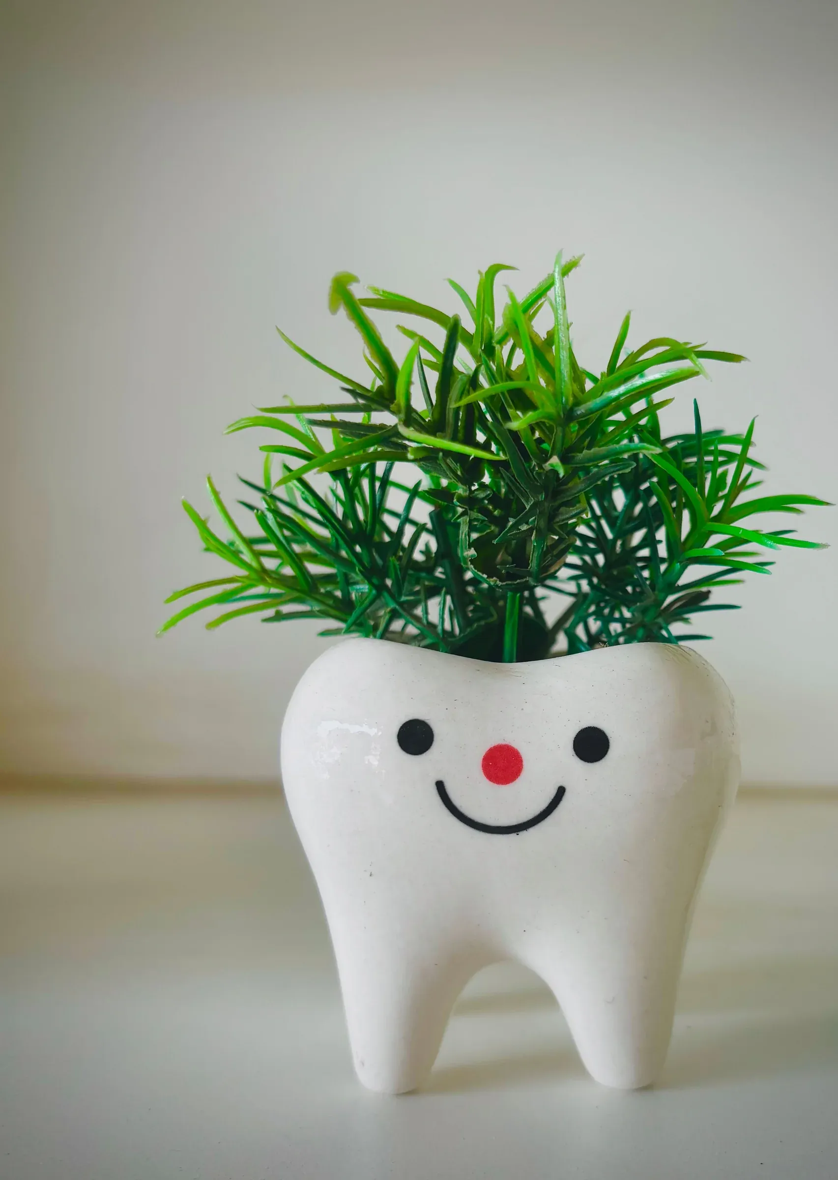 Maceta de cerámica en forma de diente, con una carita sonriente y una planta verde.