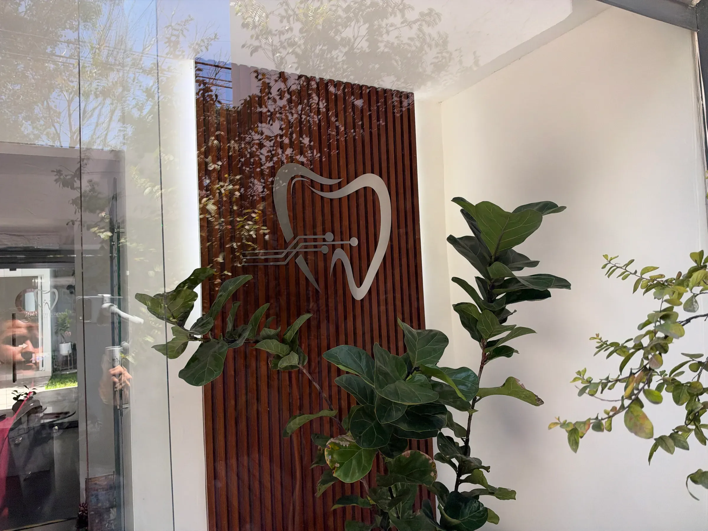 Muro de listones de madera con el emblema de la clínica, entre plantas.