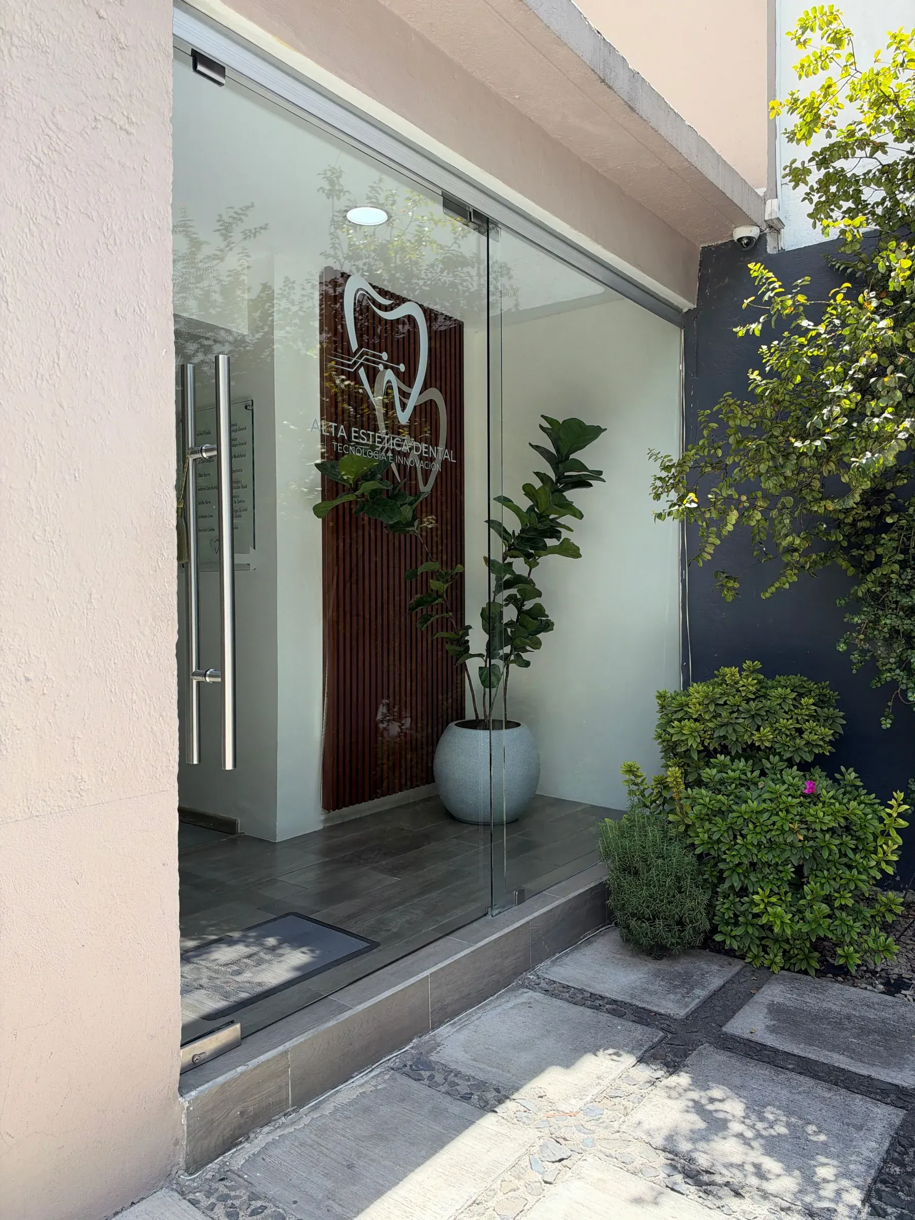 Entrada de Alta Estética Dental: puerta de vidrio con el logotipo, muro de madera y plantas.